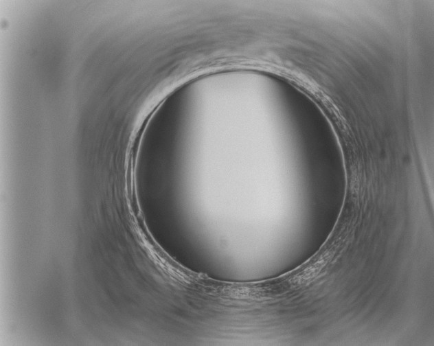 X0000059041520200510171836