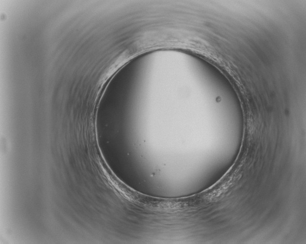 X0000059041521200510171836