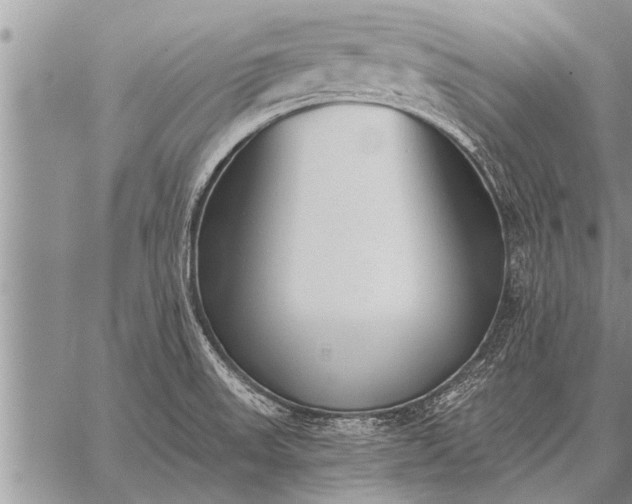 X0000059041523200510171836