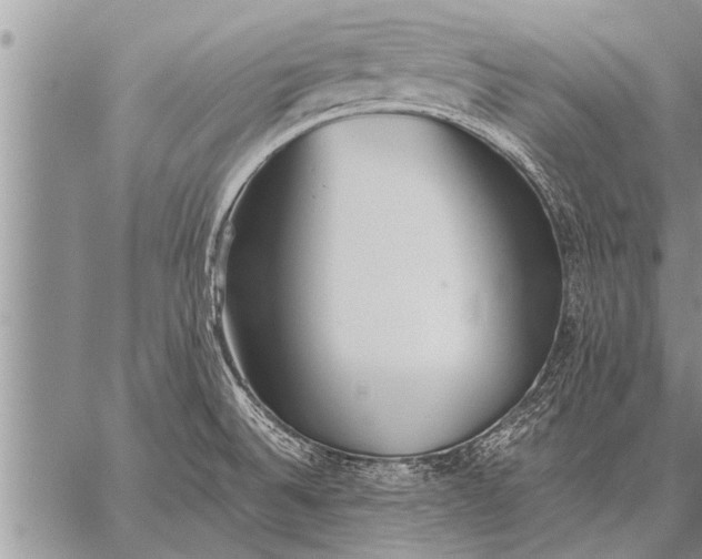 X0000059041524200510171836