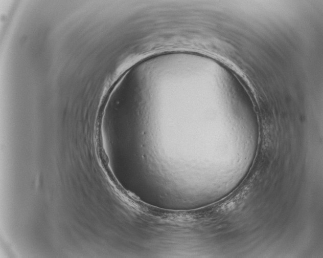 X0000059041525200510171836