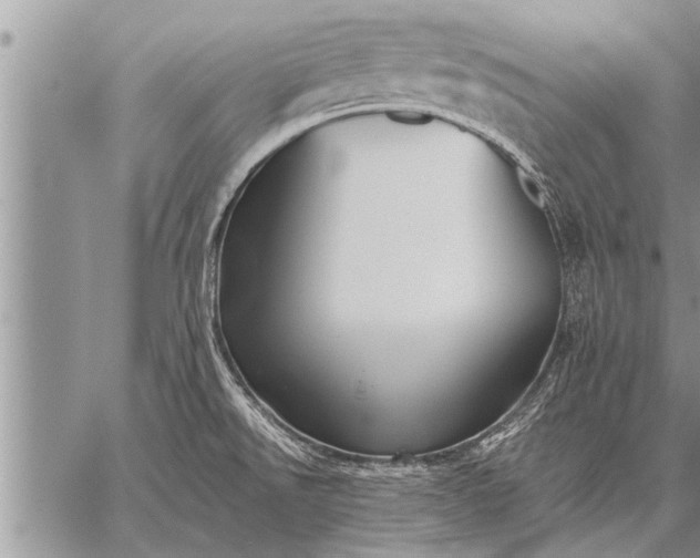 X0000059041526200510171836