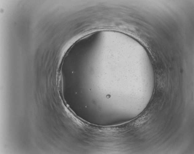 X0000059041527200510171836