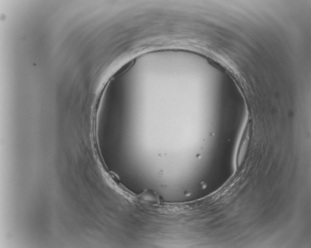 X0000059041528200510171836