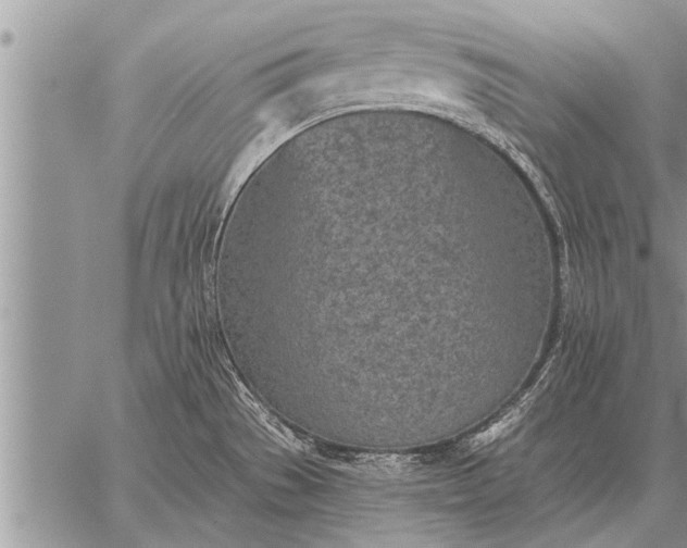 X0000059041529200510171836