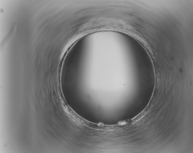 X0000059041530200510171836