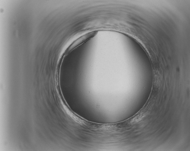 X0000059041531200510171836