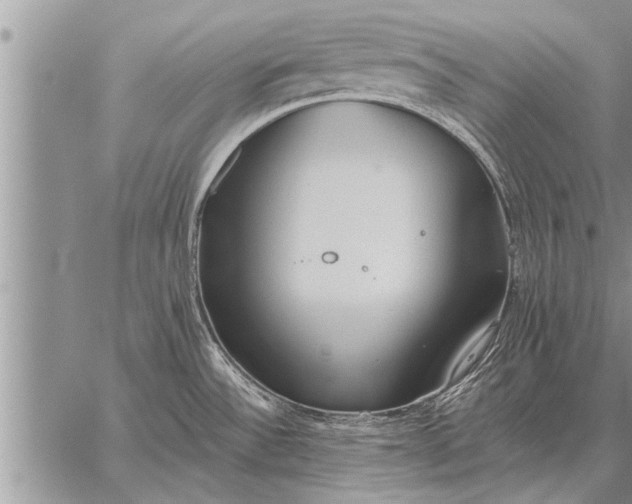 X0000059041532200510171836