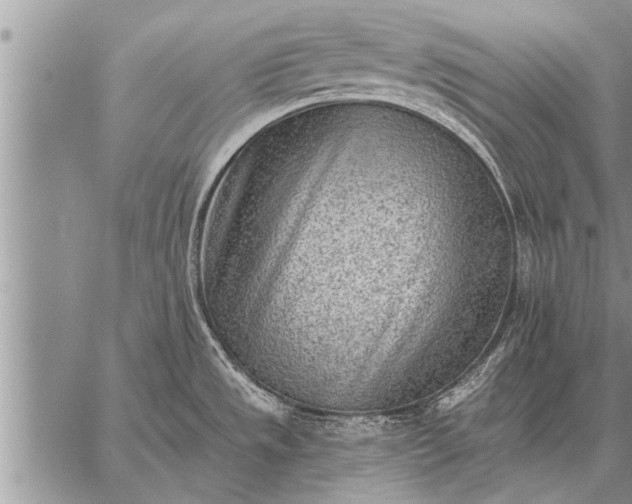 X0000059041533200510171836