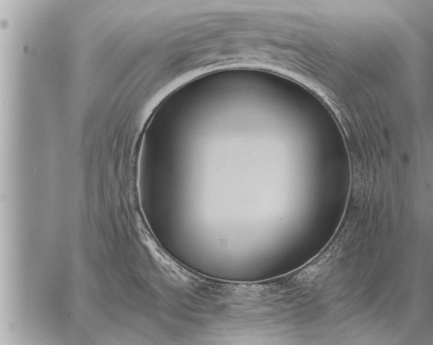 X0000059041534200510171836