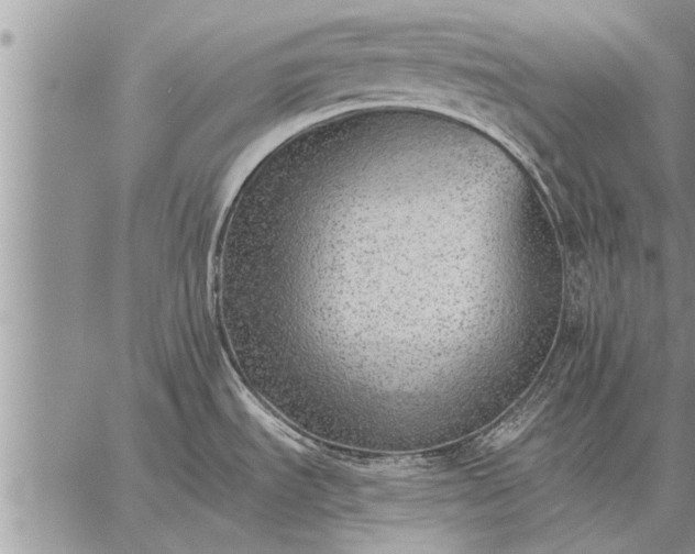 X0000059041535200510171836