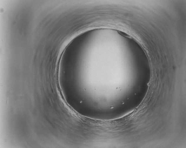 X0000059041536200510171836