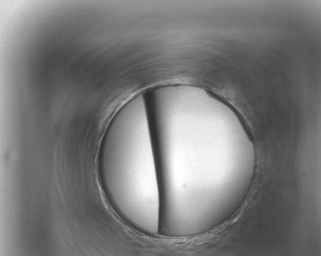 X0000059040001200510211946