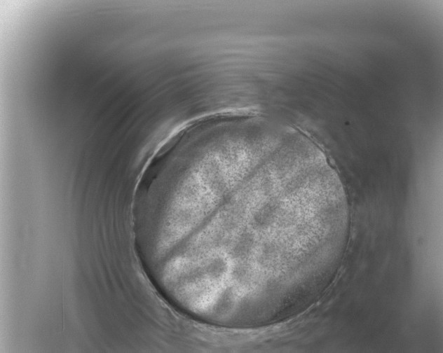 X0000059040002200510211946