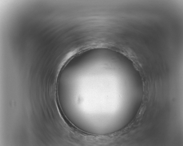 X0000059040003200510211946