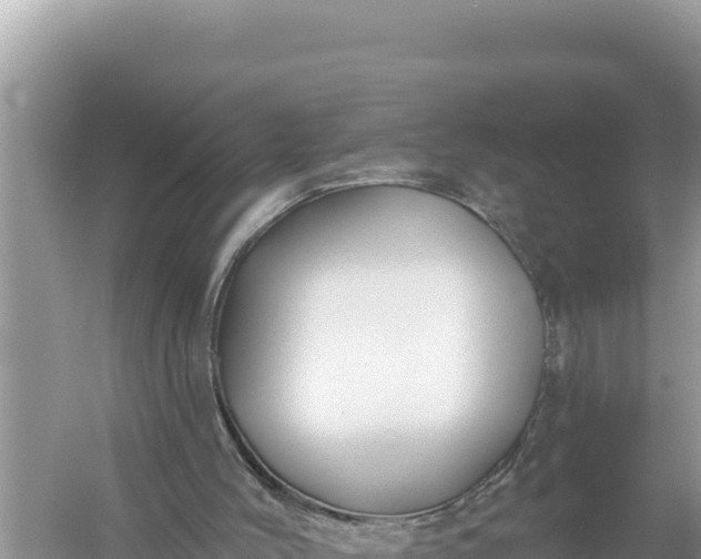 X0000059040004200510211946