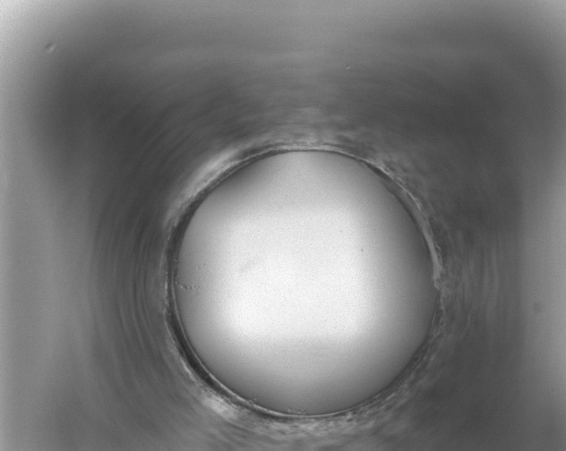 X0000059040005200510211946