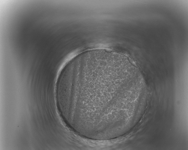 X0000059040006200510211946