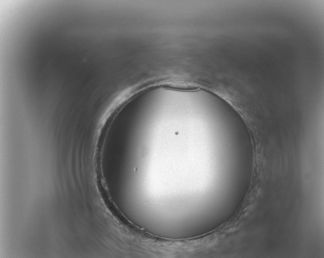 X0000059040007200510211946