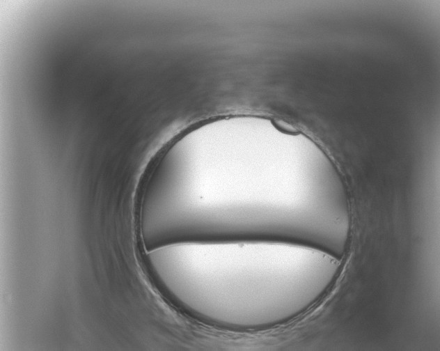 X0000059040008200510211946