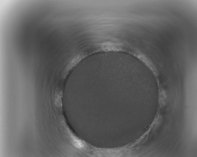 X0000059040009200510211946