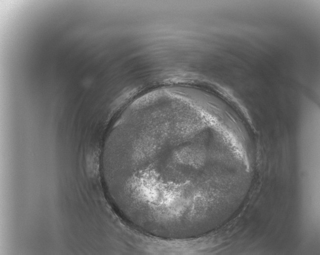 X0000059040010200510211946