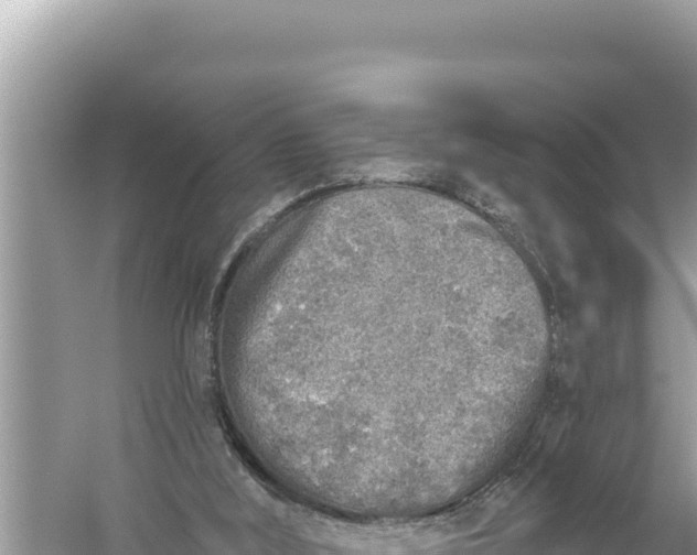 X0000059040012200510211946