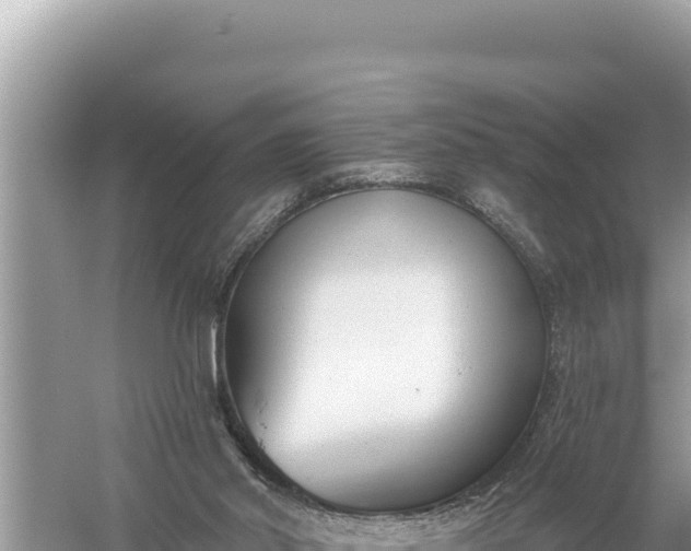 X0000059040014200510211946