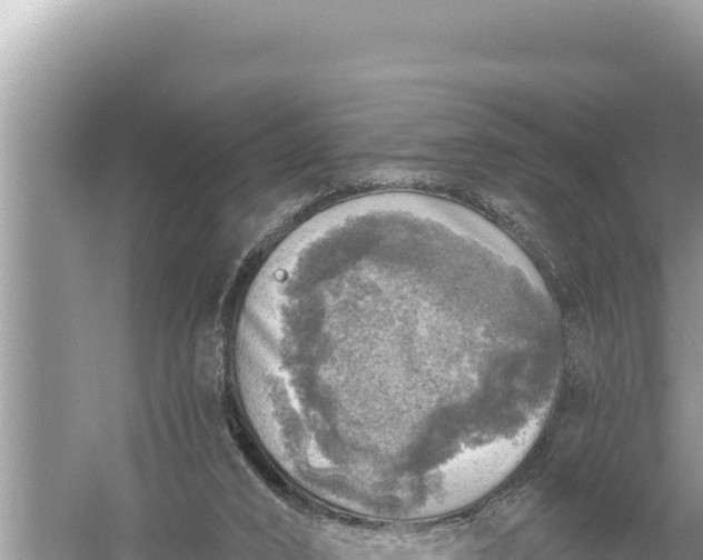 X0000059040016200510211946