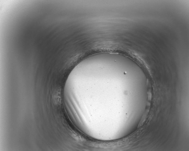 X0000059040017200510211946