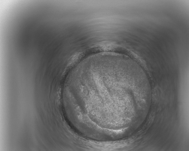 X0000059040018200510211946