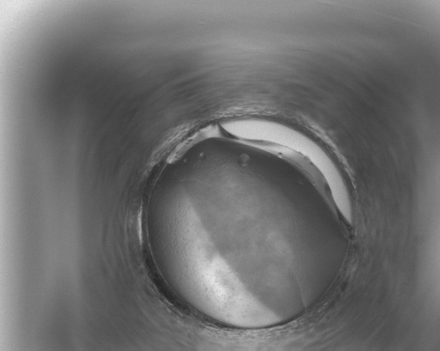 X0000059040019200510211946