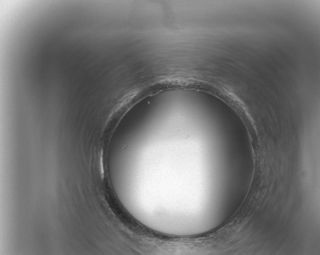 X0000059040020200510211946