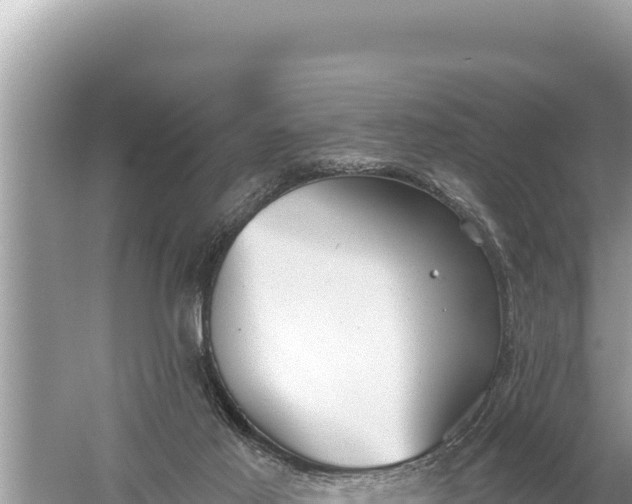 X0000059040021200510211946