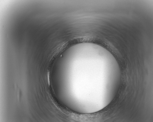 X0000059040022200510211946