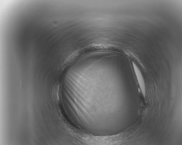 X0000059040023200510211946