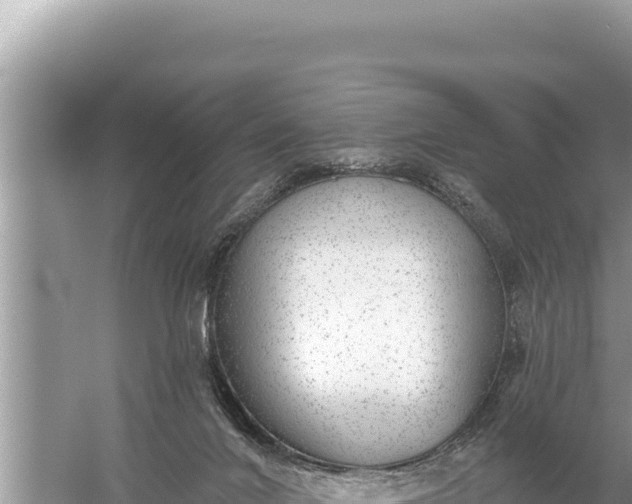 X0000059040024200510211946