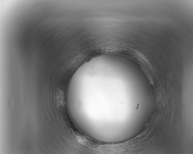 X0000059040025200510211946