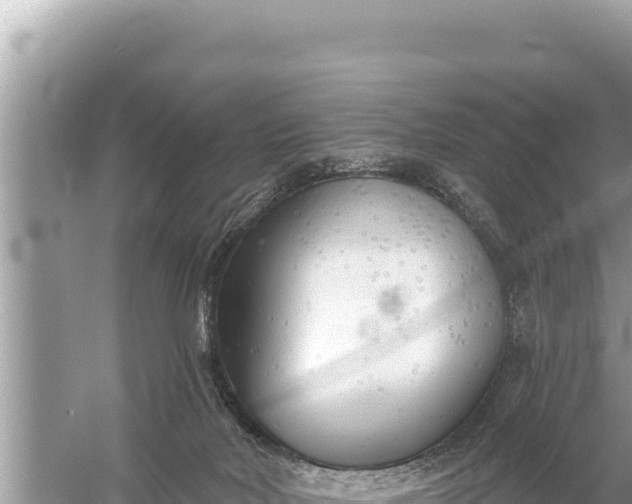 X0000059040026200510211946