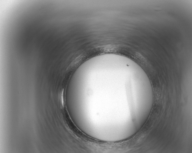 X0000059040028200510211946