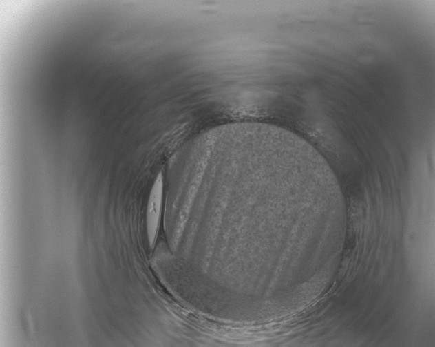 X0000059040029200510211946