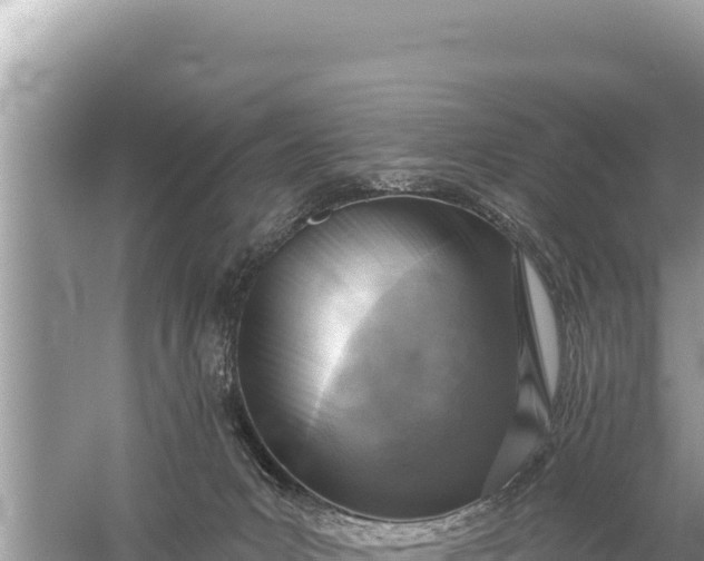 X0000059040031200510211946