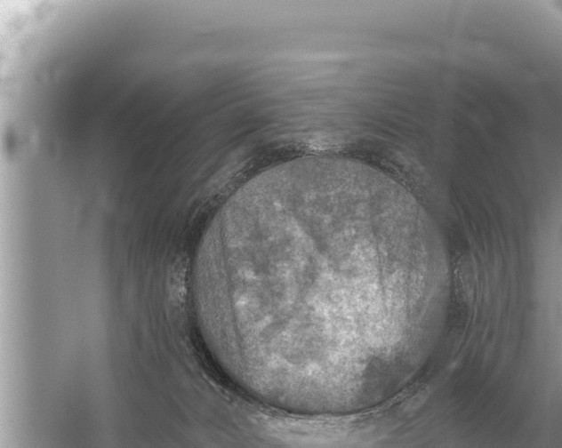 X0000059040032200510211945