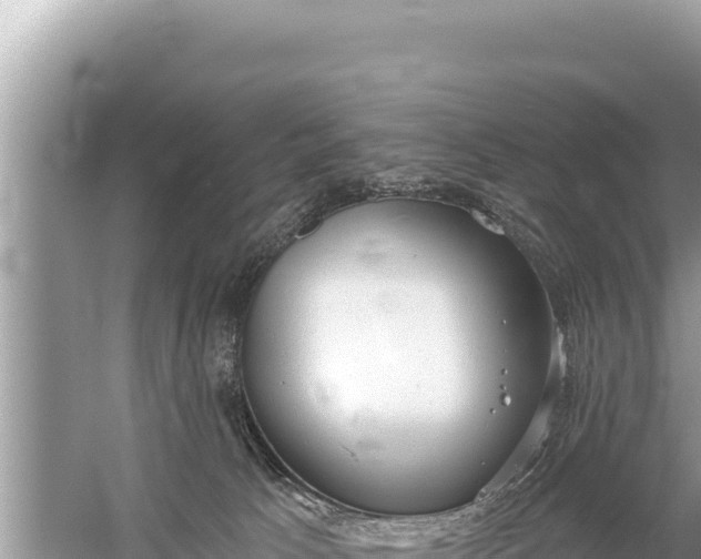 X0000059040033200510211945