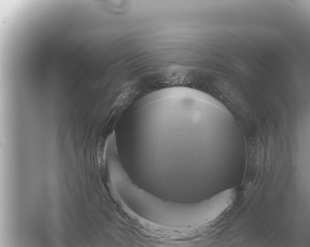 X0000059040035200510211945