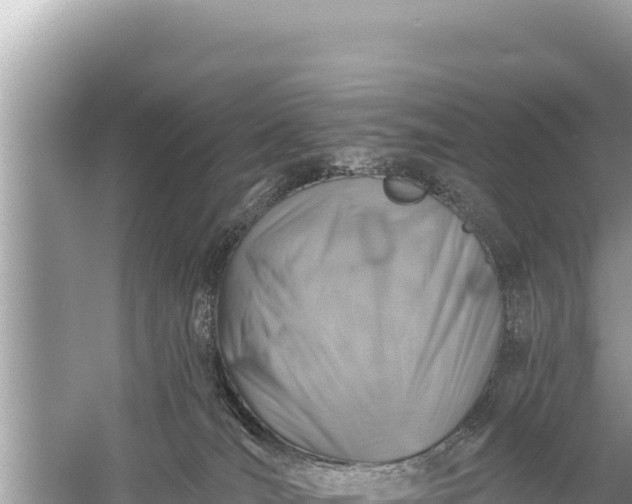 X0000059040036200510211945