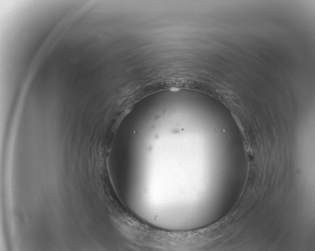 X0000059040037200510211945