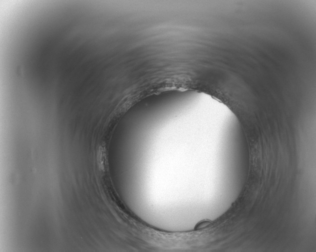 X0000059040038200510211945