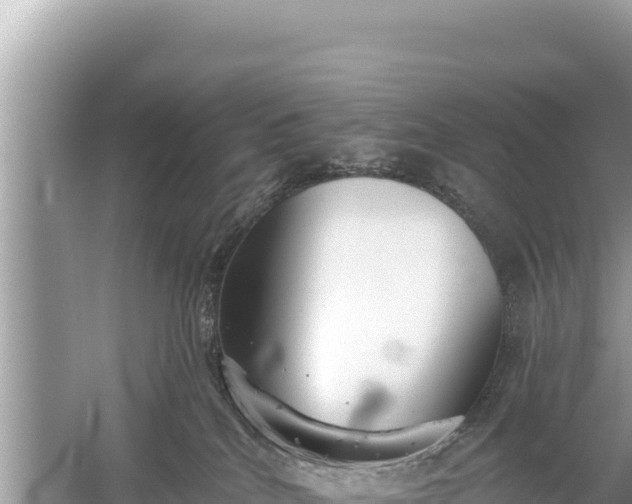 X0000059040040200510211945