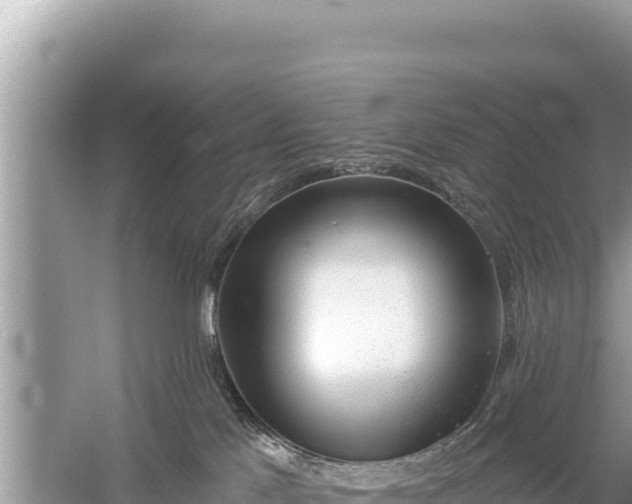 X0000059040041200510211945